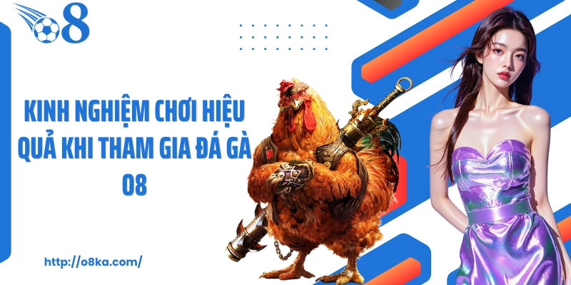 Kinh nghiệm chơi hiệu quả khi tham gia đá gà O8