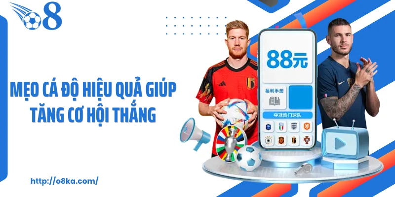 Mẹo cá độ hiệu quả giúp tăng cơ hội thắng