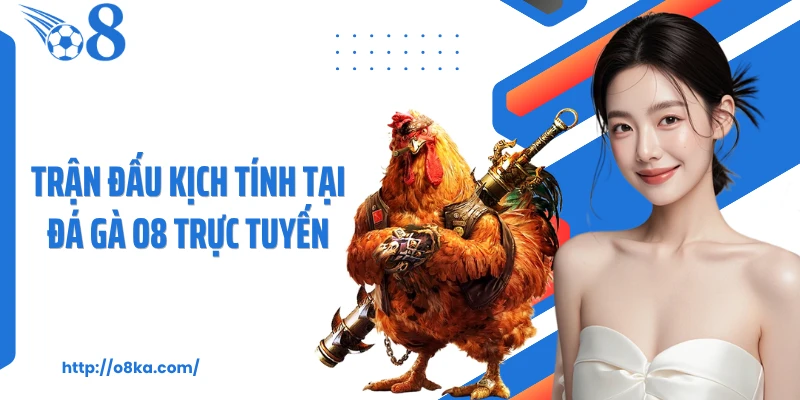 Trận đấu kịch tính tại đá gà O8 trực tuyến